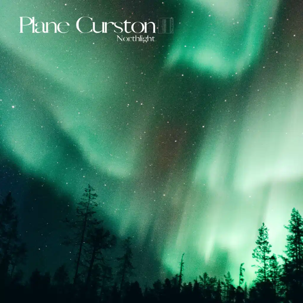 Plane Curston
