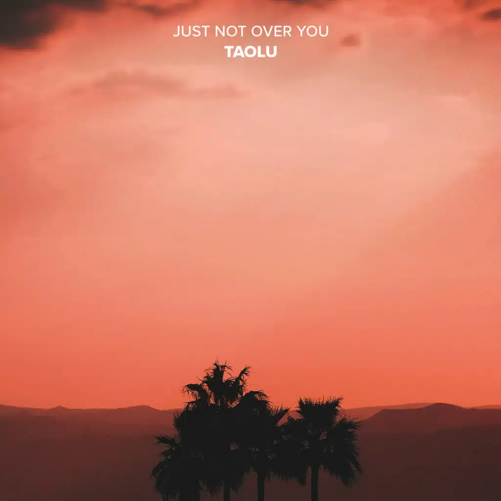 Just Not over You