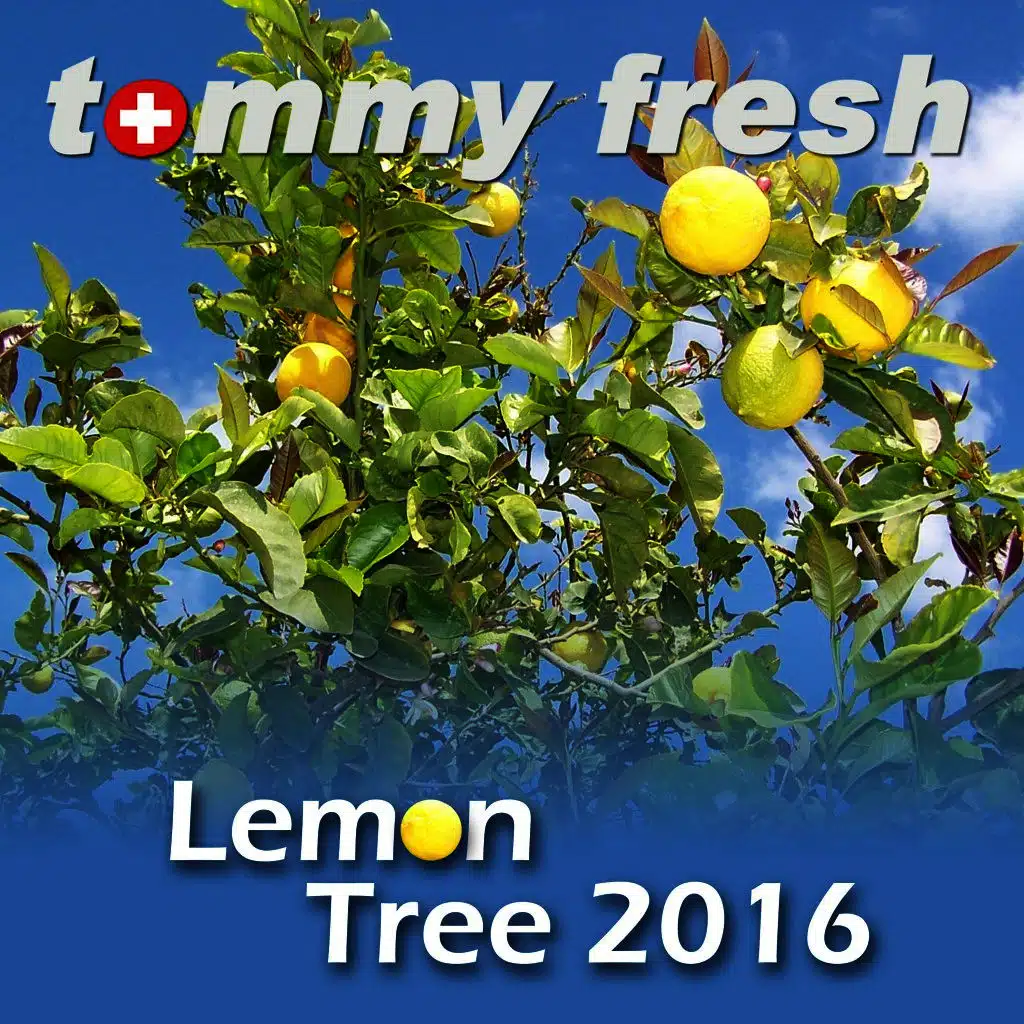 Lemon Tree (Live)
