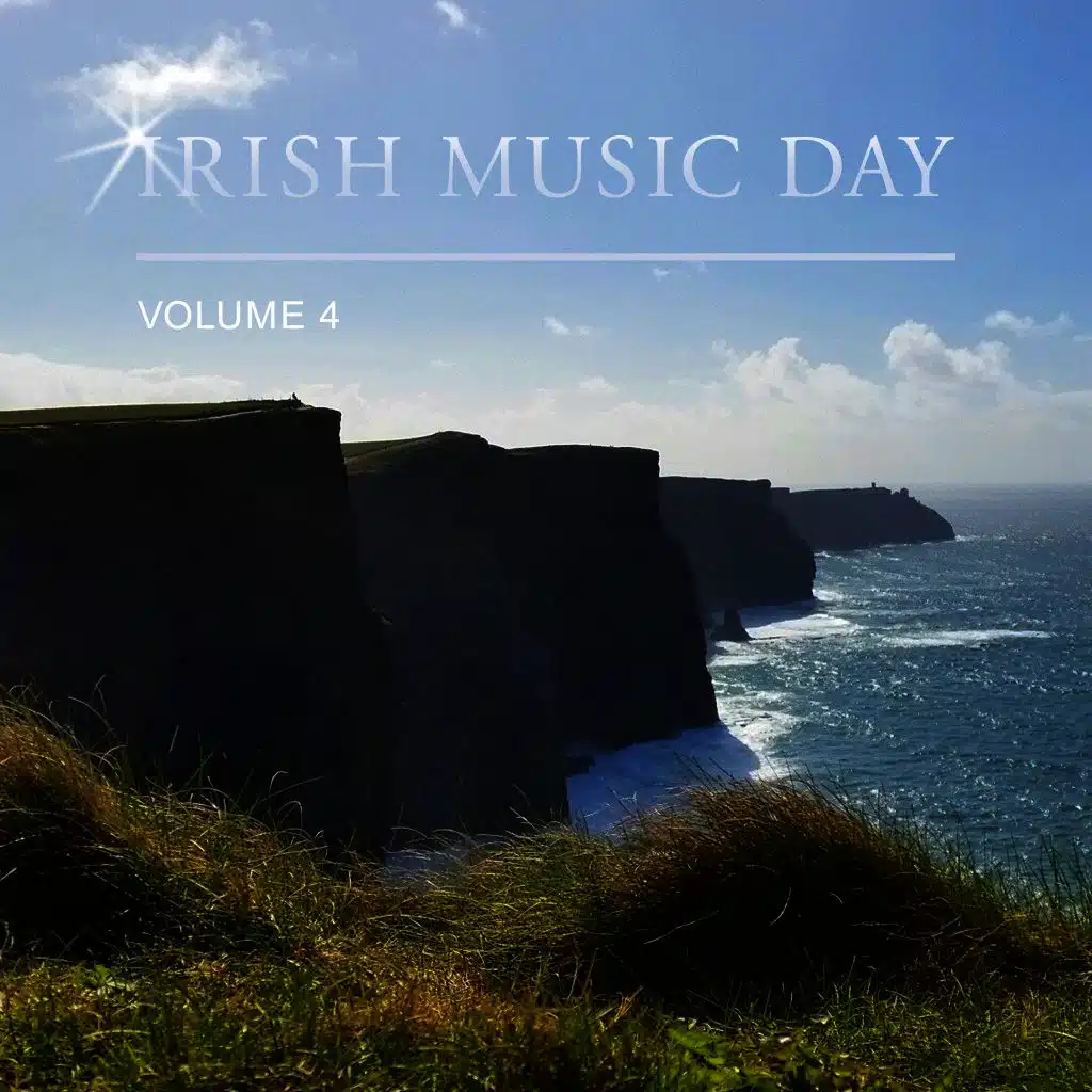 Irish Music Day, Vol. 4