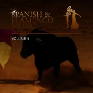 Spanish & Flamenco Music, Vol. 4