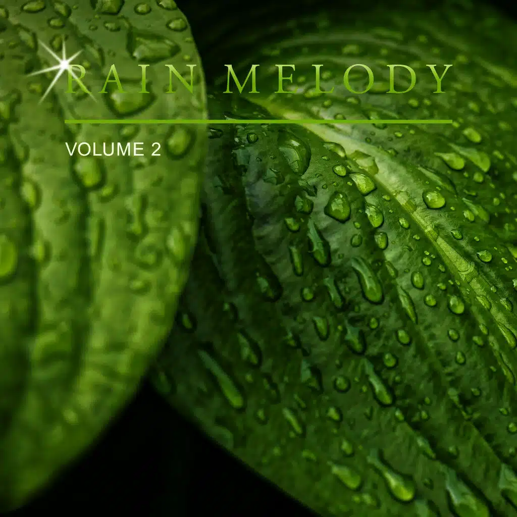 Rain Melody, Vol. 2