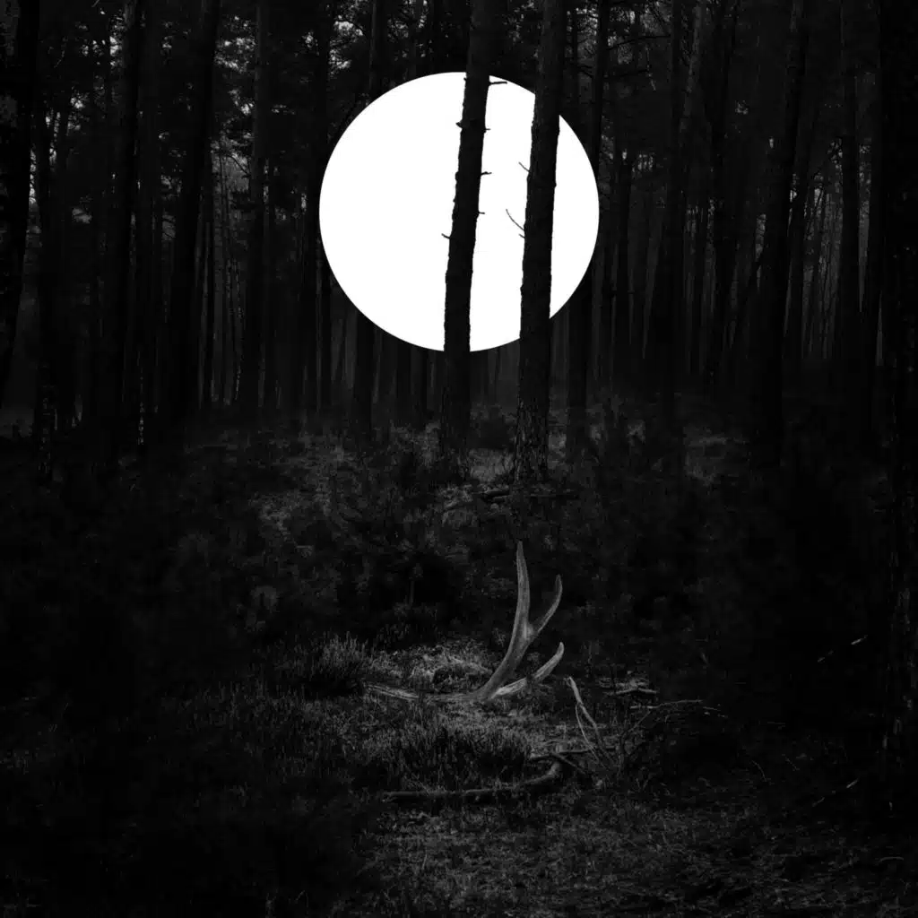Echoes: String Quartet No. 1 & Distant Light