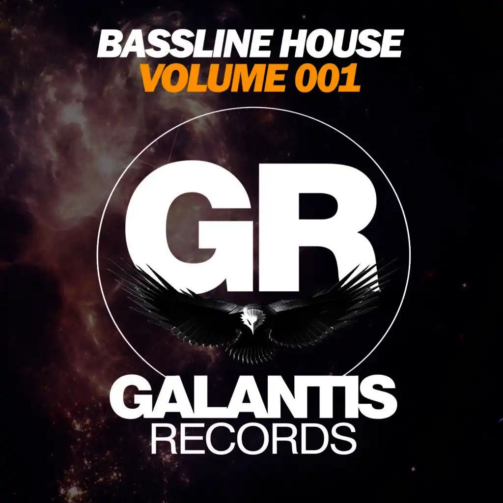 Bassline House (Volume 001)