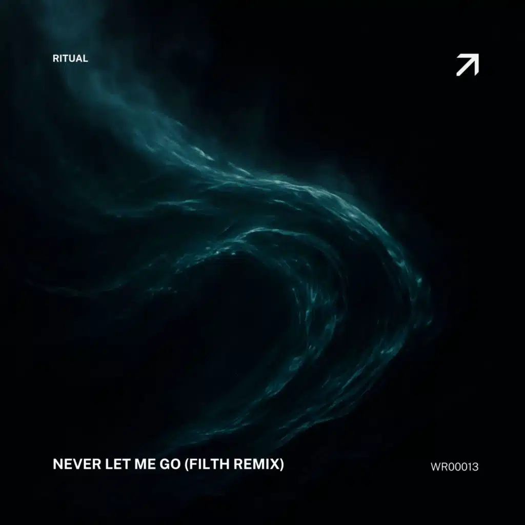 Never Let Me Go (Filth Remix)
