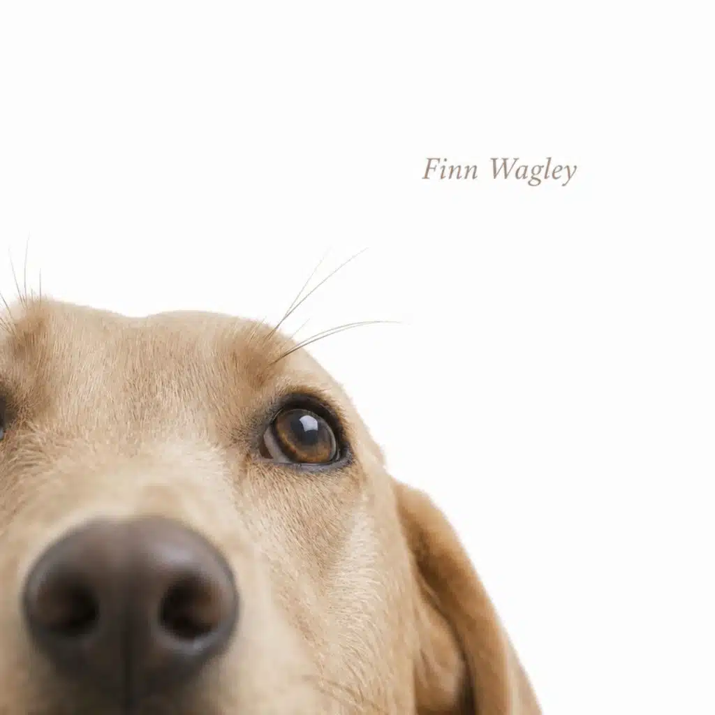 Finn Wagley