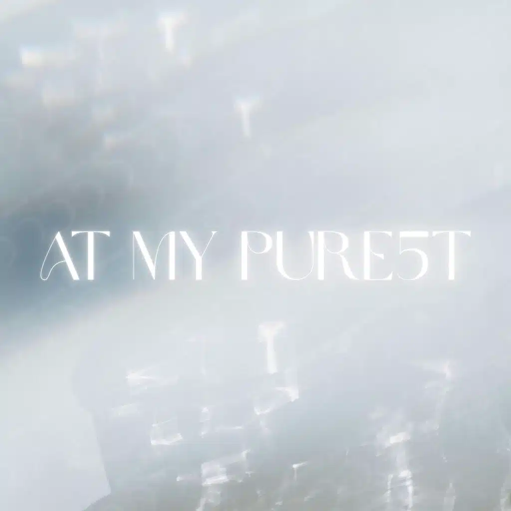 THE PURIST 2
