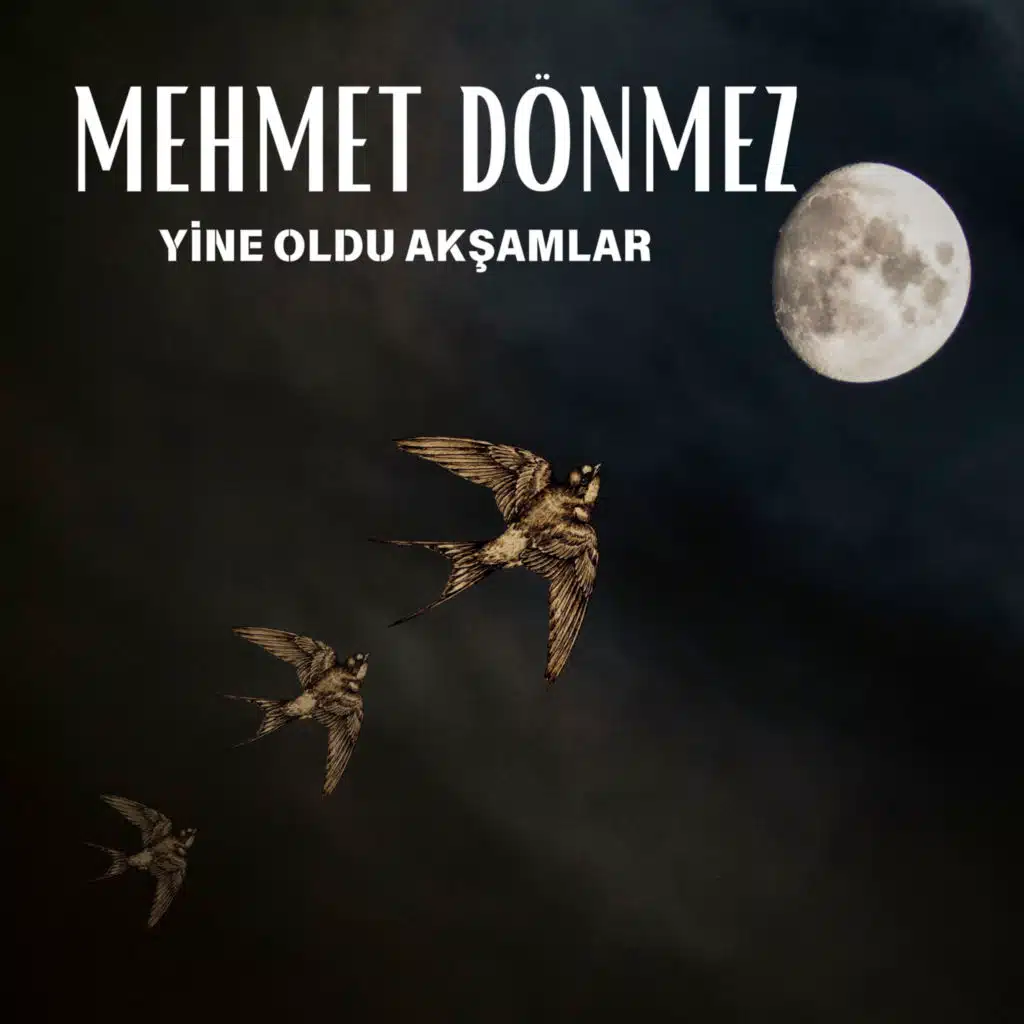 Mehmet Dönmez