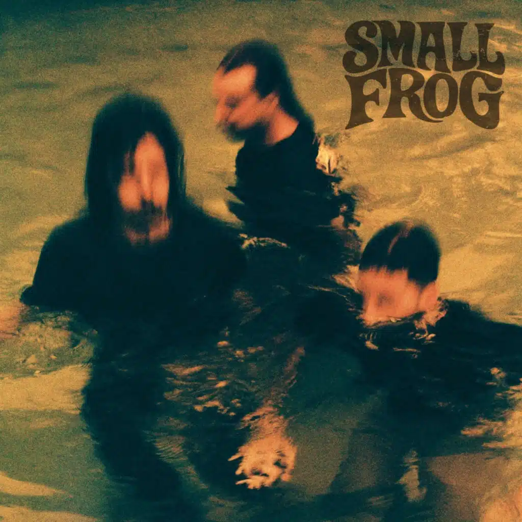 Small Frog