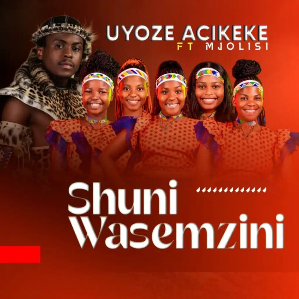 Shuni waseMzini