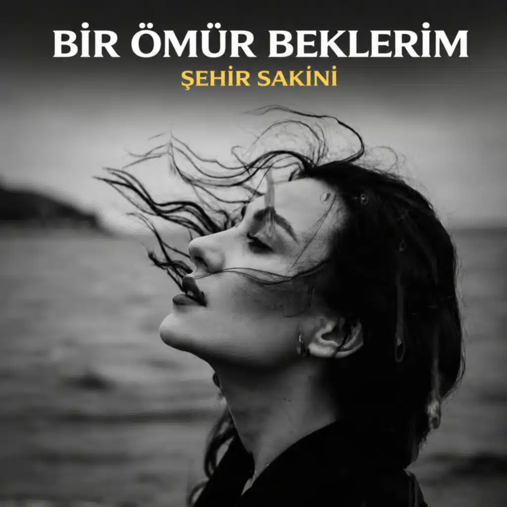 Bir Ömür Beklerim