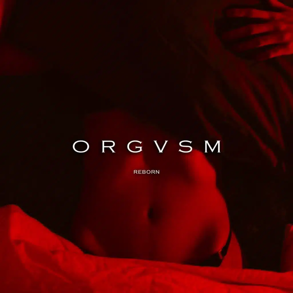 Orgvsm