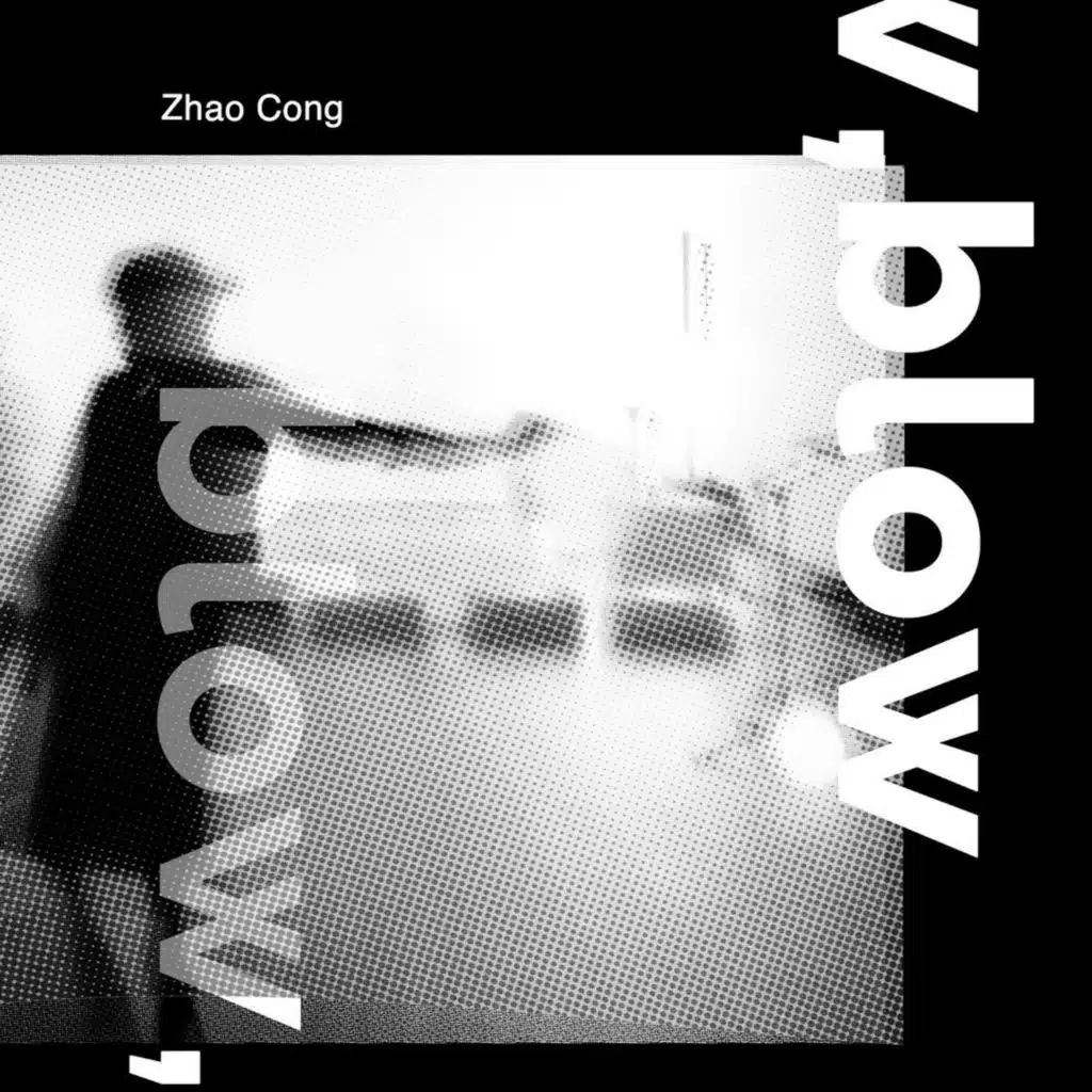 Zhao Cong