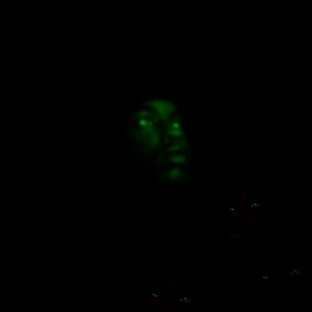 beastboy