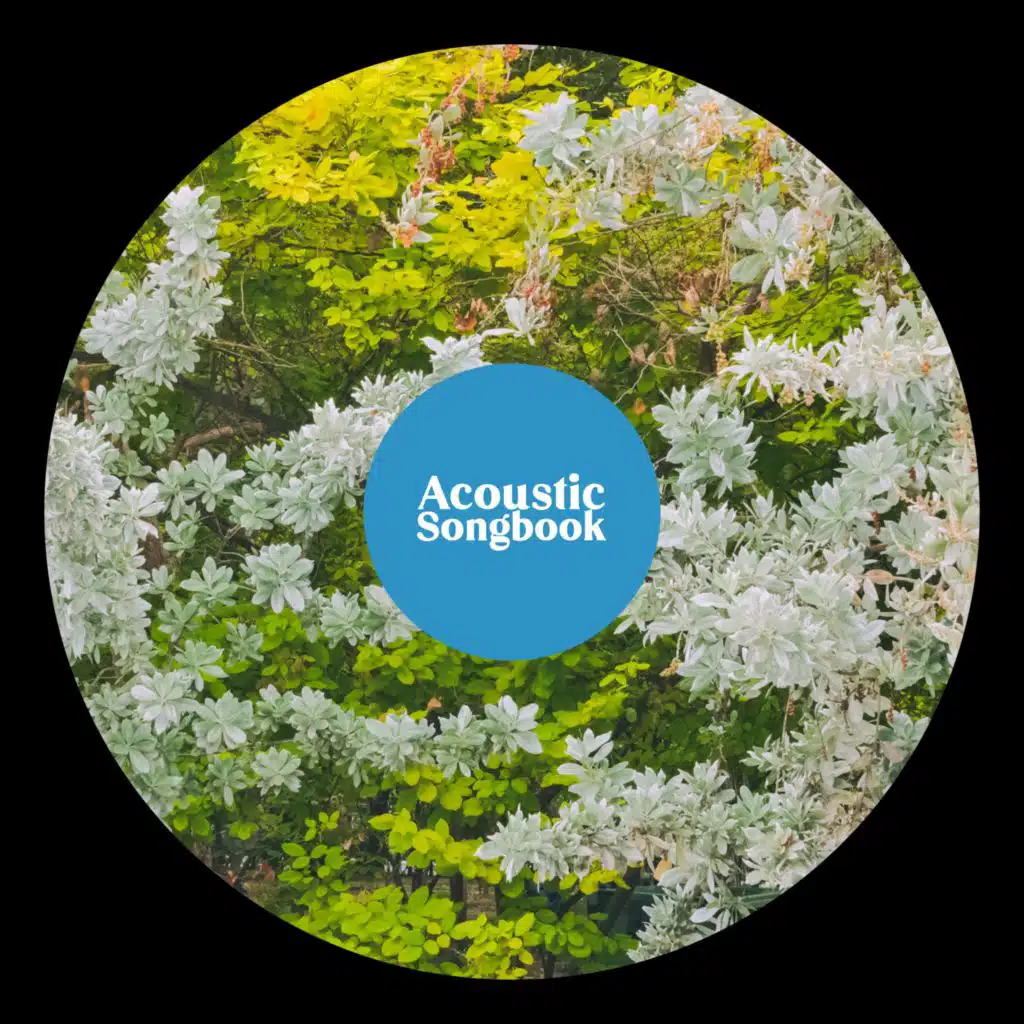รักและสัตย์ซื่อ (Acoustic Songbook)