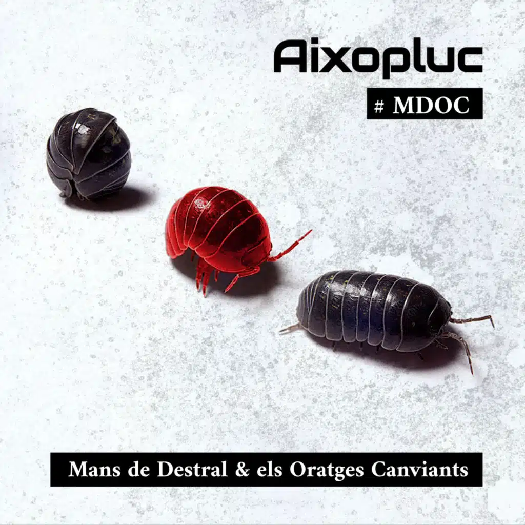 Mans de Destral & els Oratges Canviants
