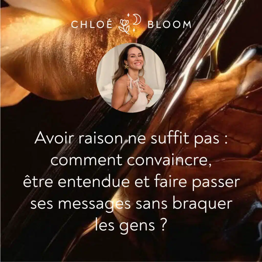 Avoir raison ne suffit pas : comment convaincre, être entendue et faire passer ses messages sans braquer les gens