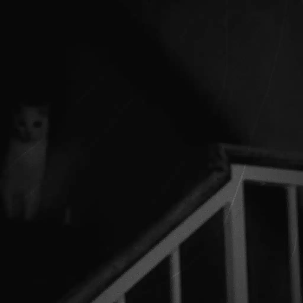 Unoccupied Spirits