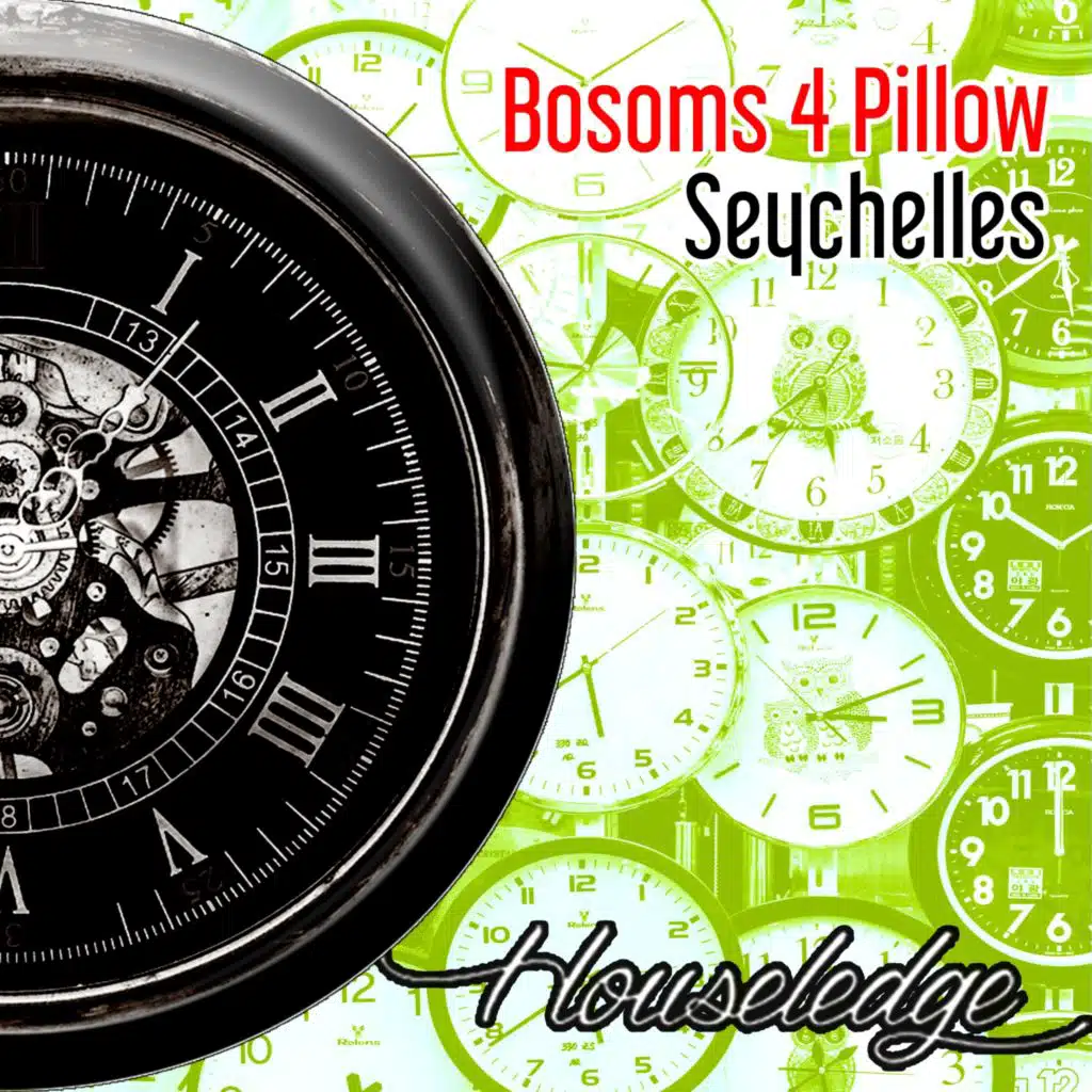Bosoms 4 Pillow