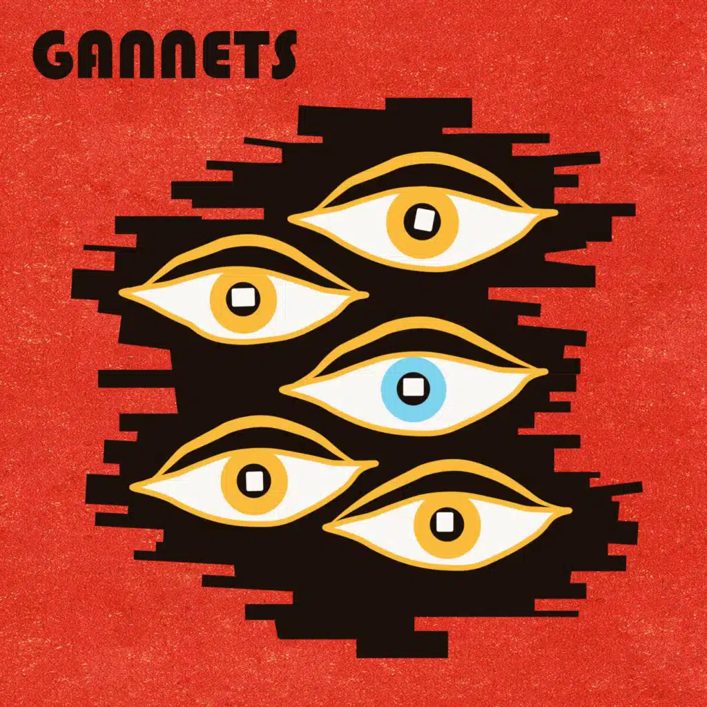 Gannets