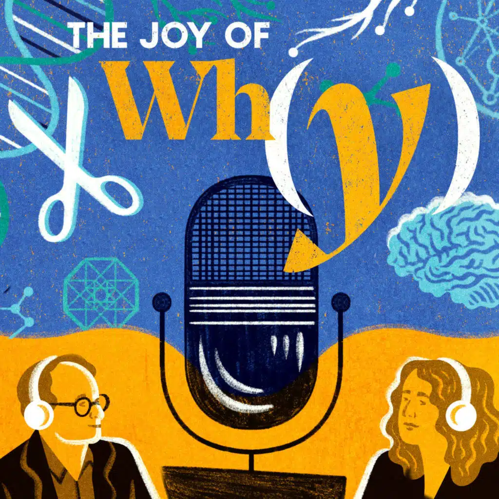The Joy of Why