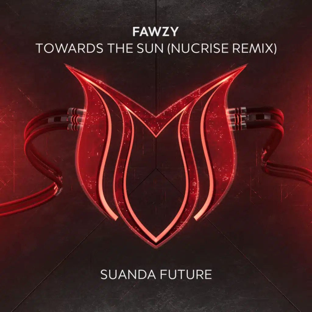 FAWZY