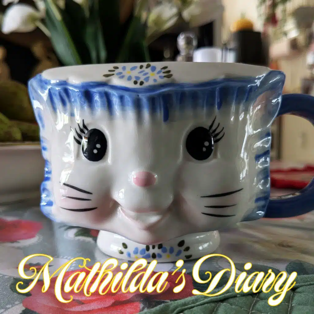 Mathilda's Diary