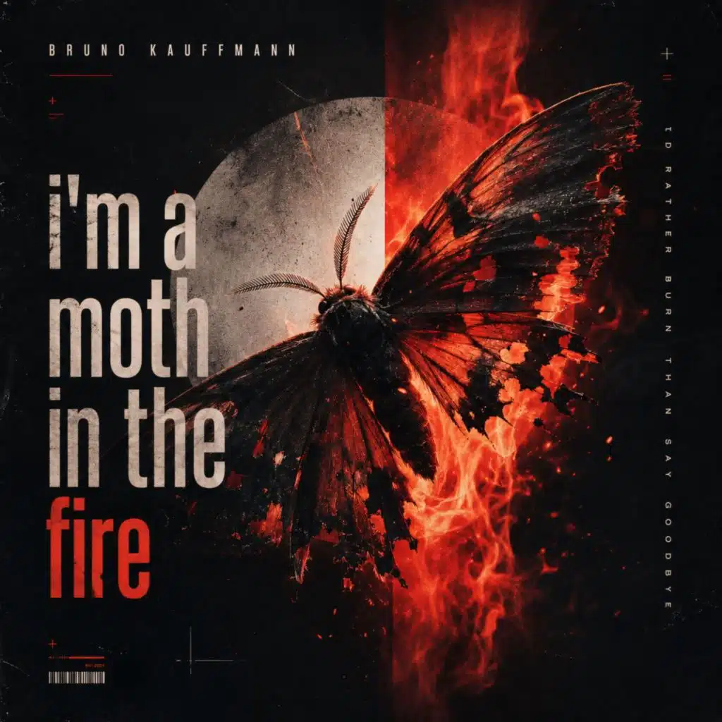 I'm A Moth In The Fire