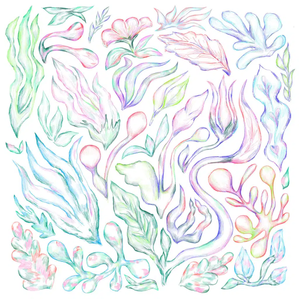 Plants Can Dance: Curated by Auntie Flo
