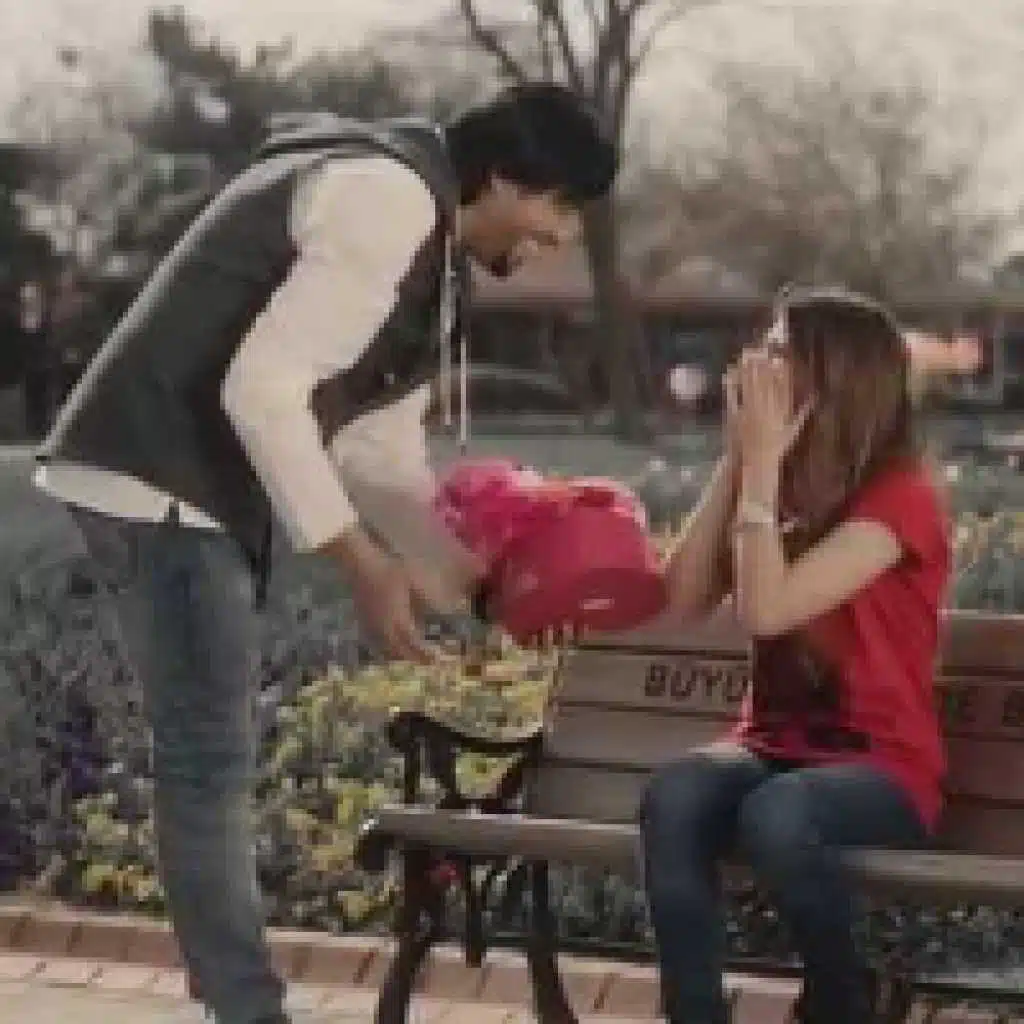 الميريدني ماريده