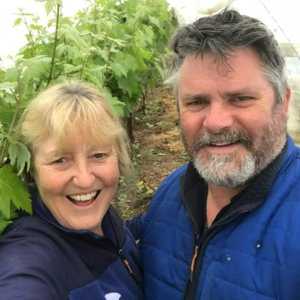 What does Irish-grown wine look like?