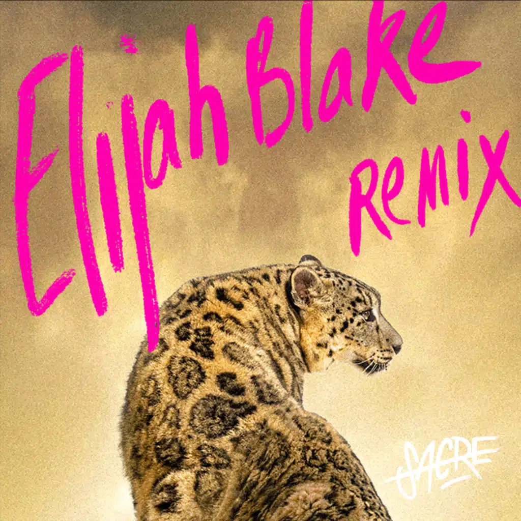 08:00PM JUNGLIZATION (Elijah Blake Rework)