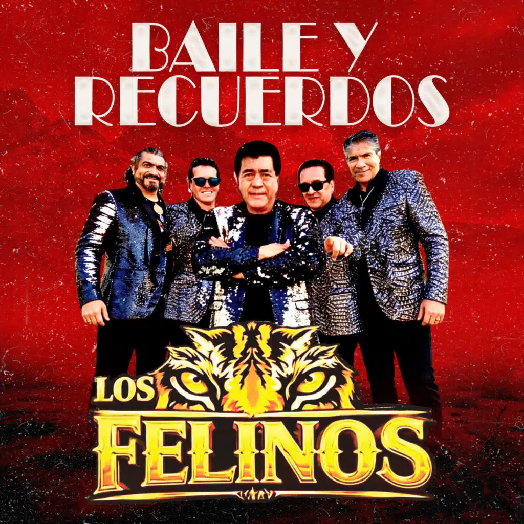 Los Felinos