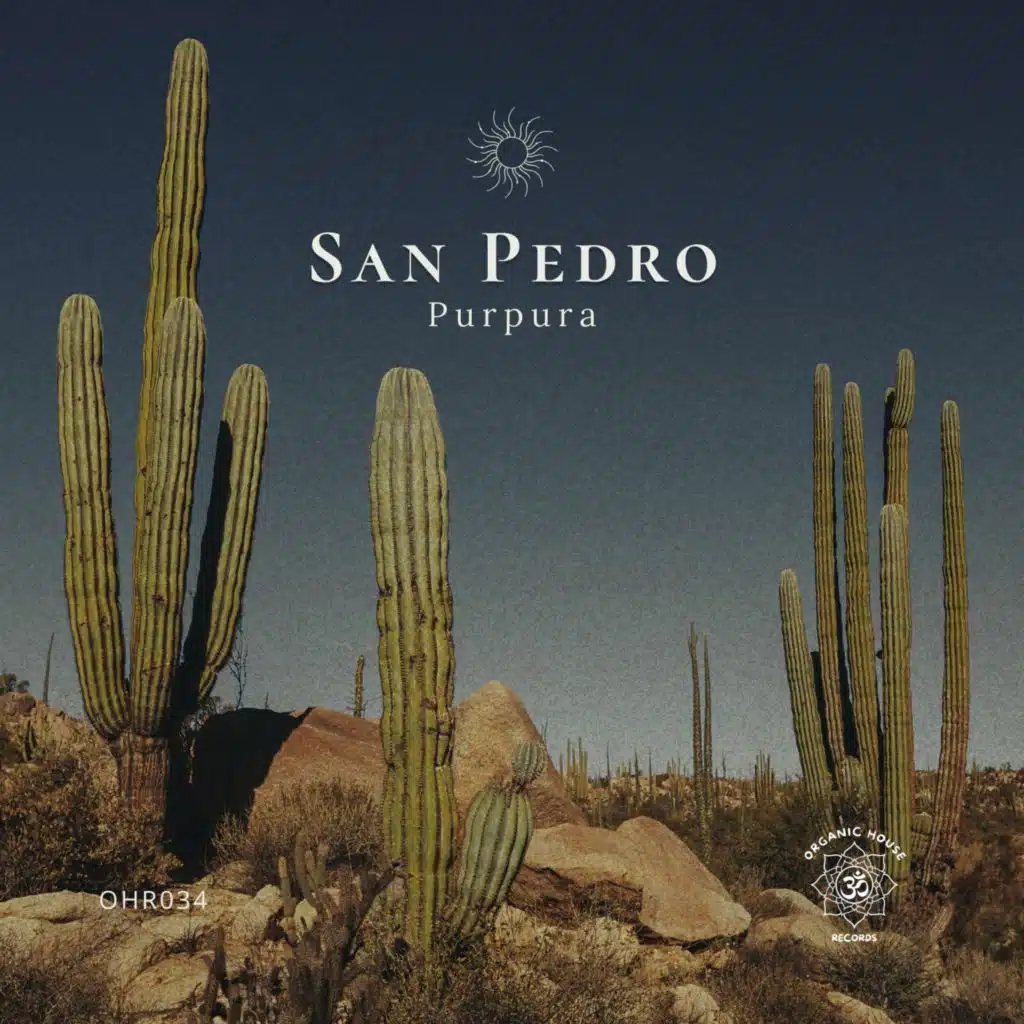 Púrpura