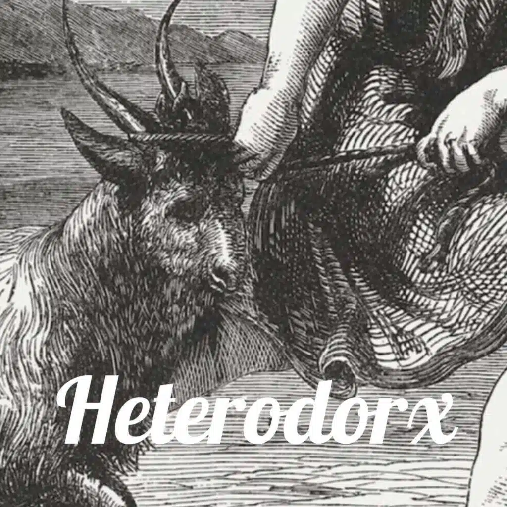 Episode 196: The Squeaky Wheel Gets The Avocado Oil