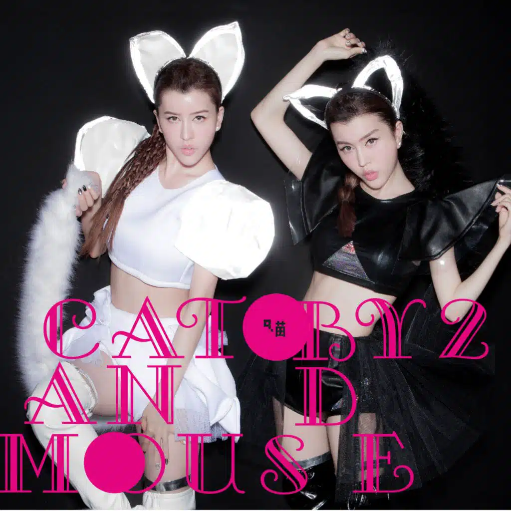 Cat And Mouse