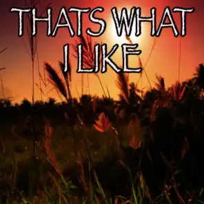 That's What I Like - Tribute to Bruno Mars (Instrumental Version)