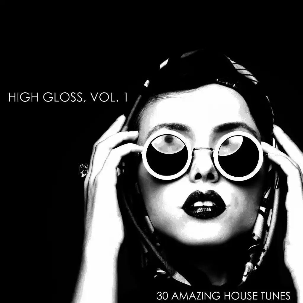High Gloss, Vol. 1 - 30 Amazing House Tunes