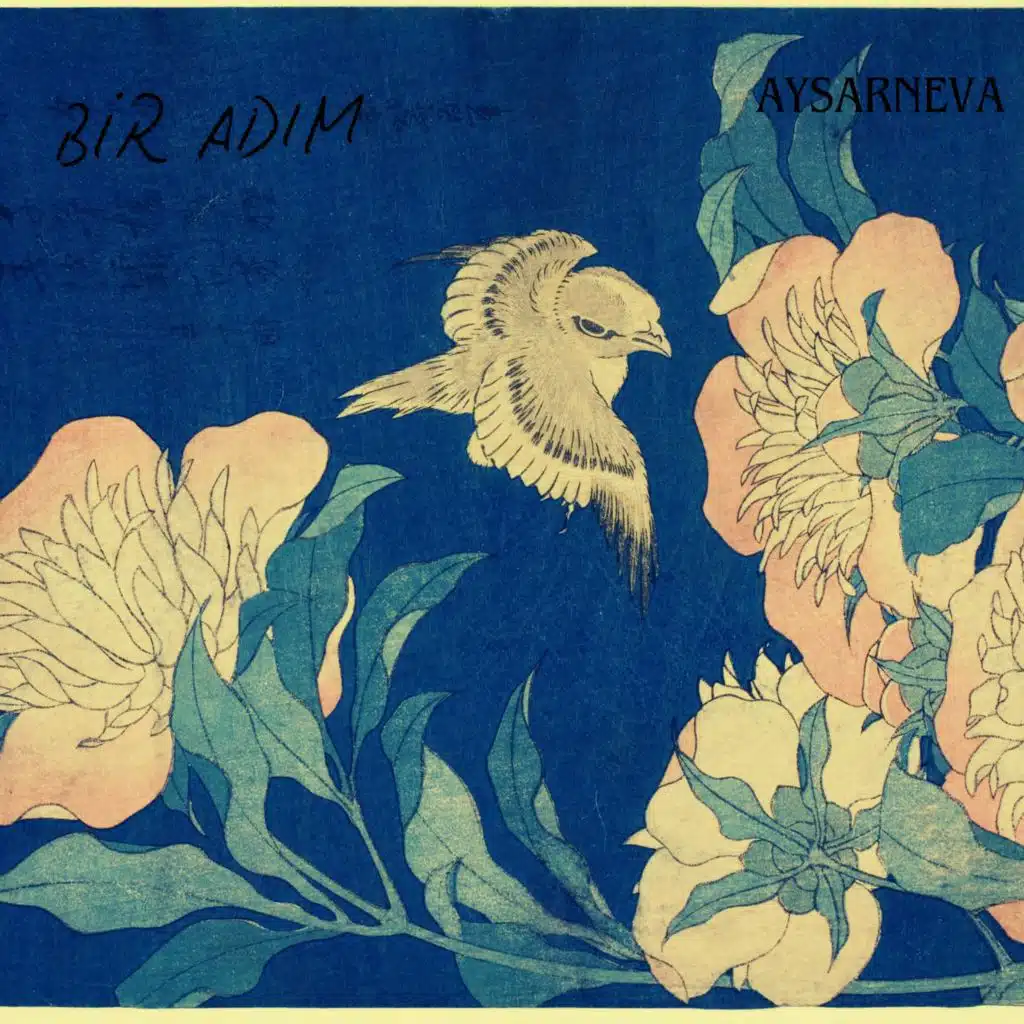 BİR ADIM