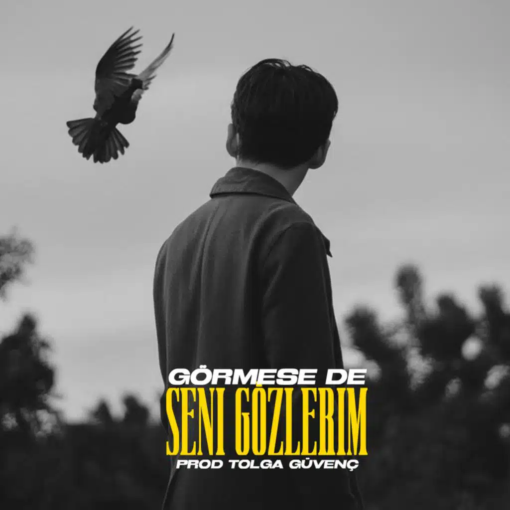 Görmese De Seni Gözlerim