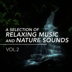 A Selection of Relaxing Music and Nature Sounds, Vol. 2