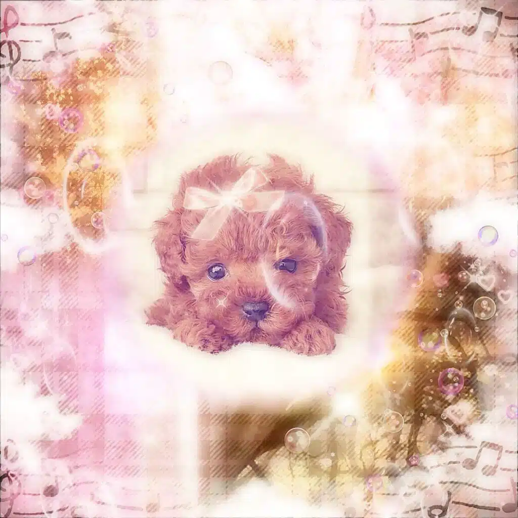 puppy