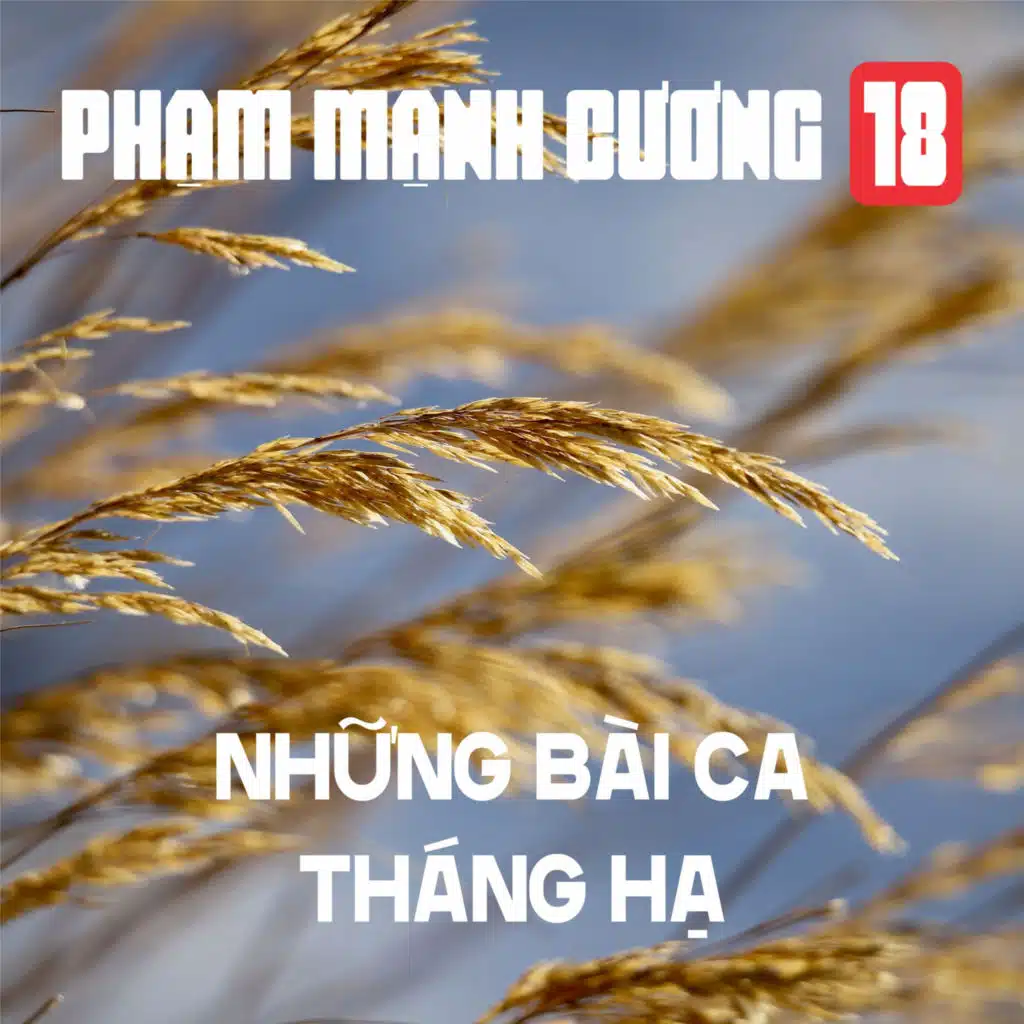 Tìm Đâu