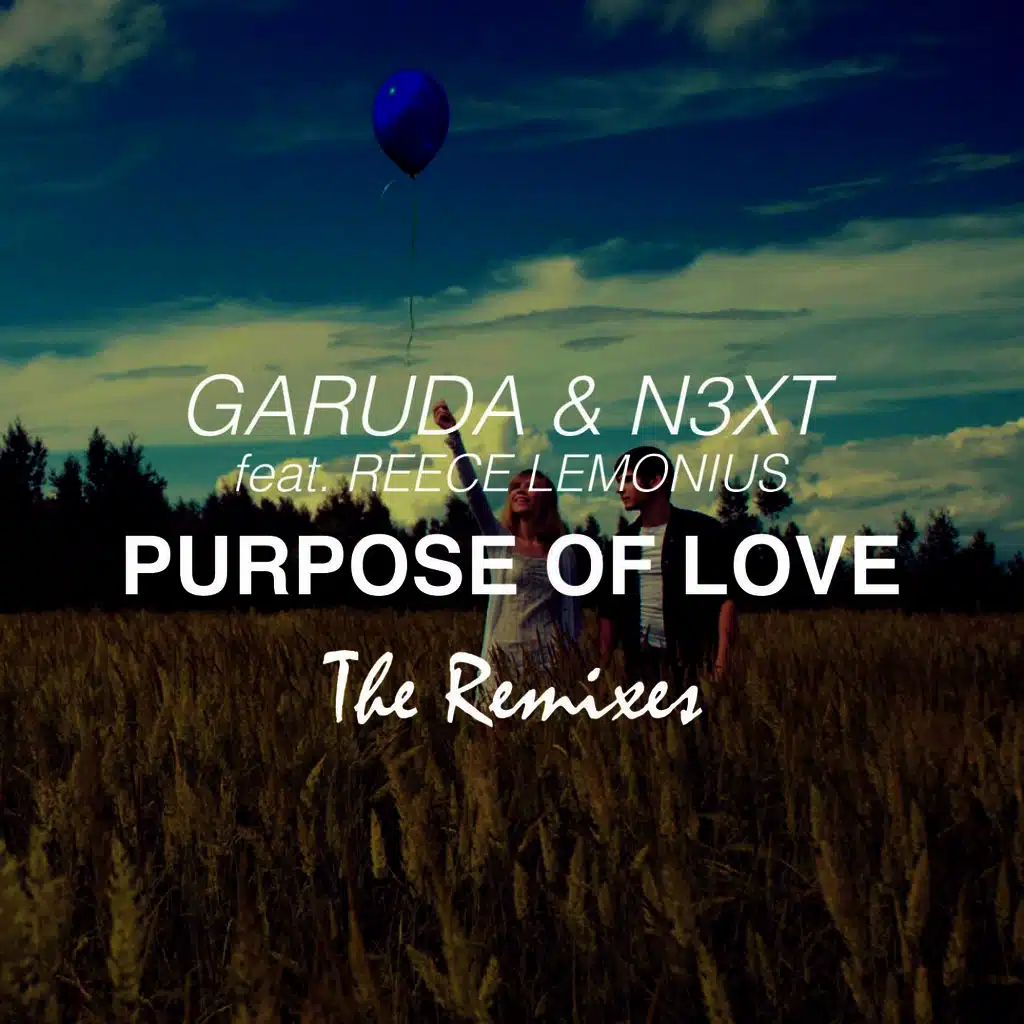 Purpose of Love (The Remixes)