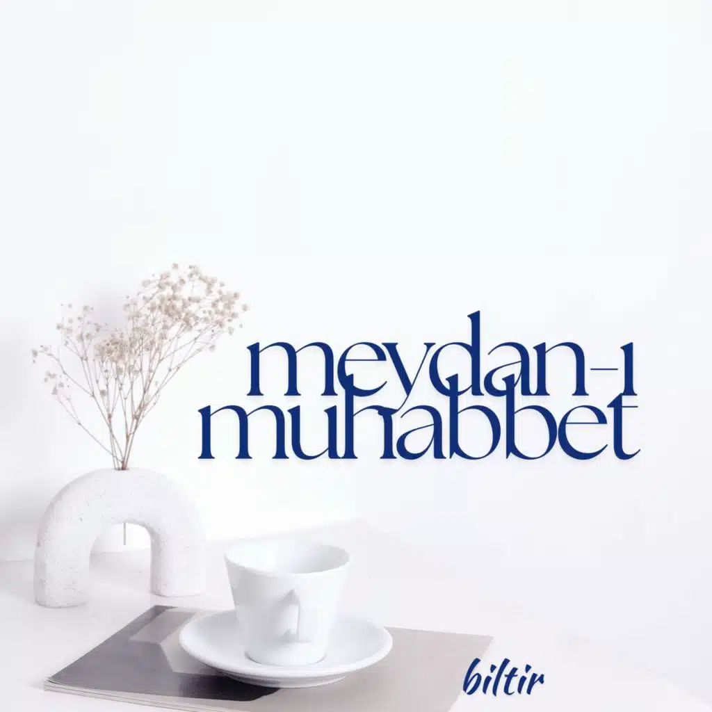 biltir