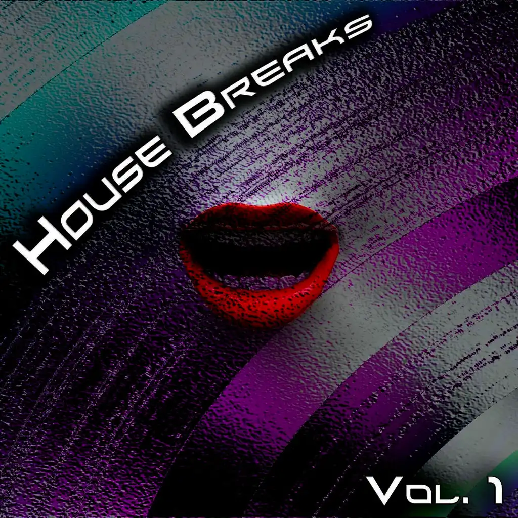 House Breaks, Vol. 1