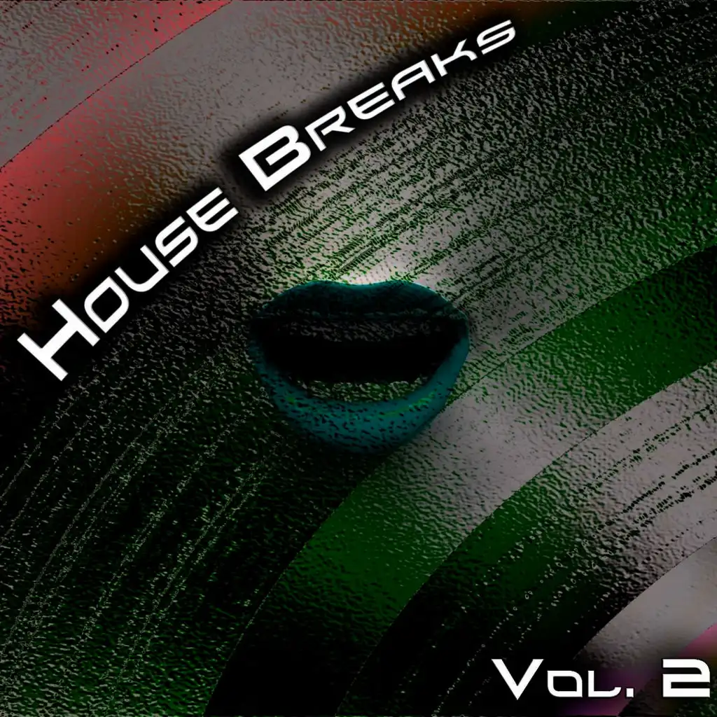 House Breaks, Vol. 2