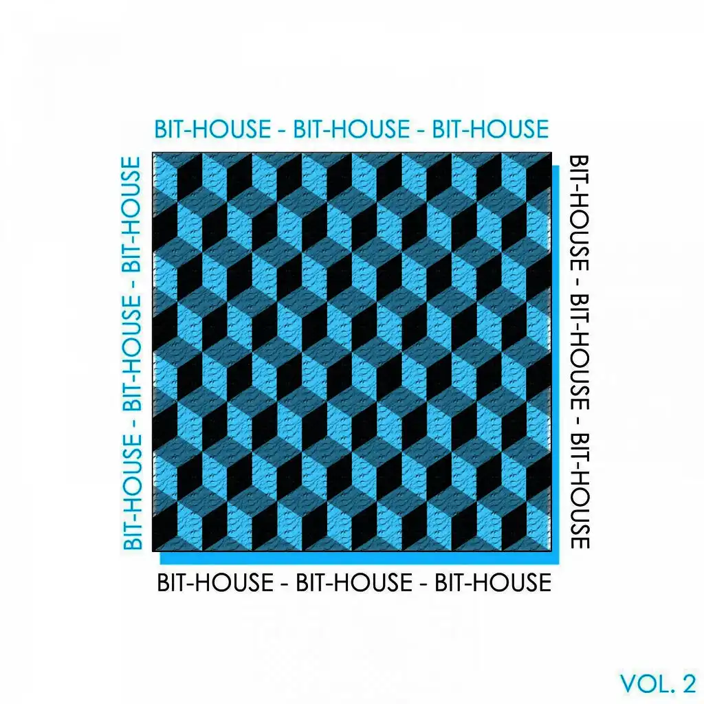 Bit-House, Vol. 2 - The House Rhythm