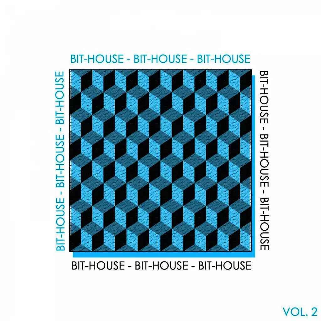 Bit-House, Vol. 2 - The House Rhythm