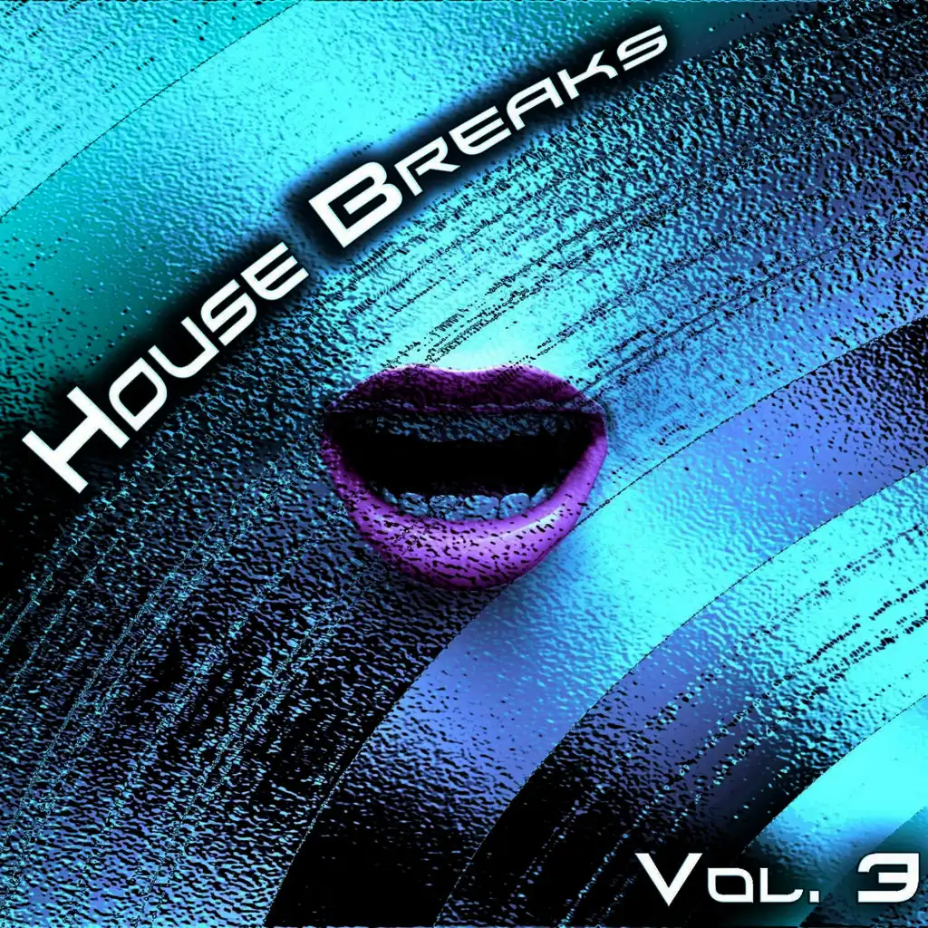 House Breaks, Vol. 3
